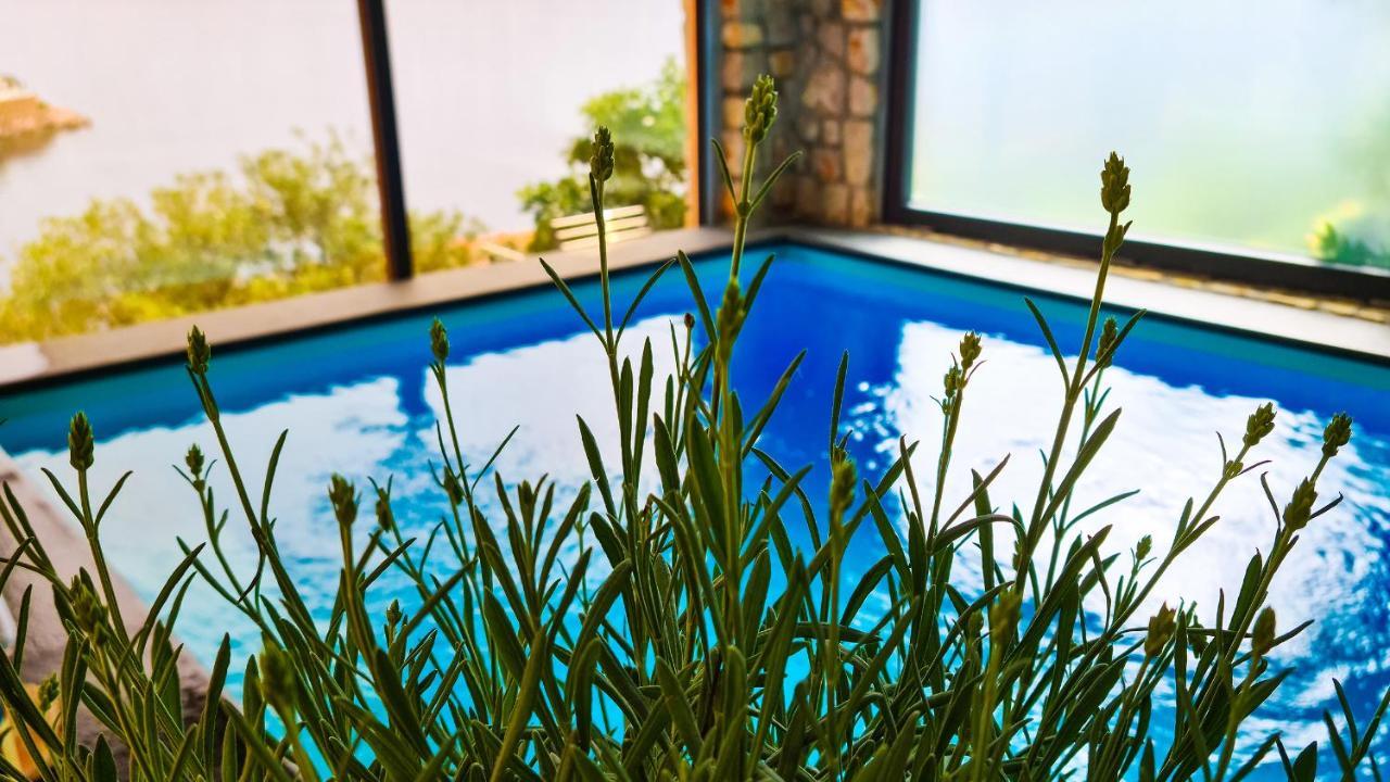 Villa Relax , With Seaview And Two Pools Near Beach Starigrad  Zewnętrze zdjęcie